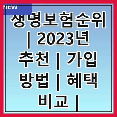 생명보험순위 | 2023년 추천 | 가입 방법 | 혜택 비교 | 주의사항